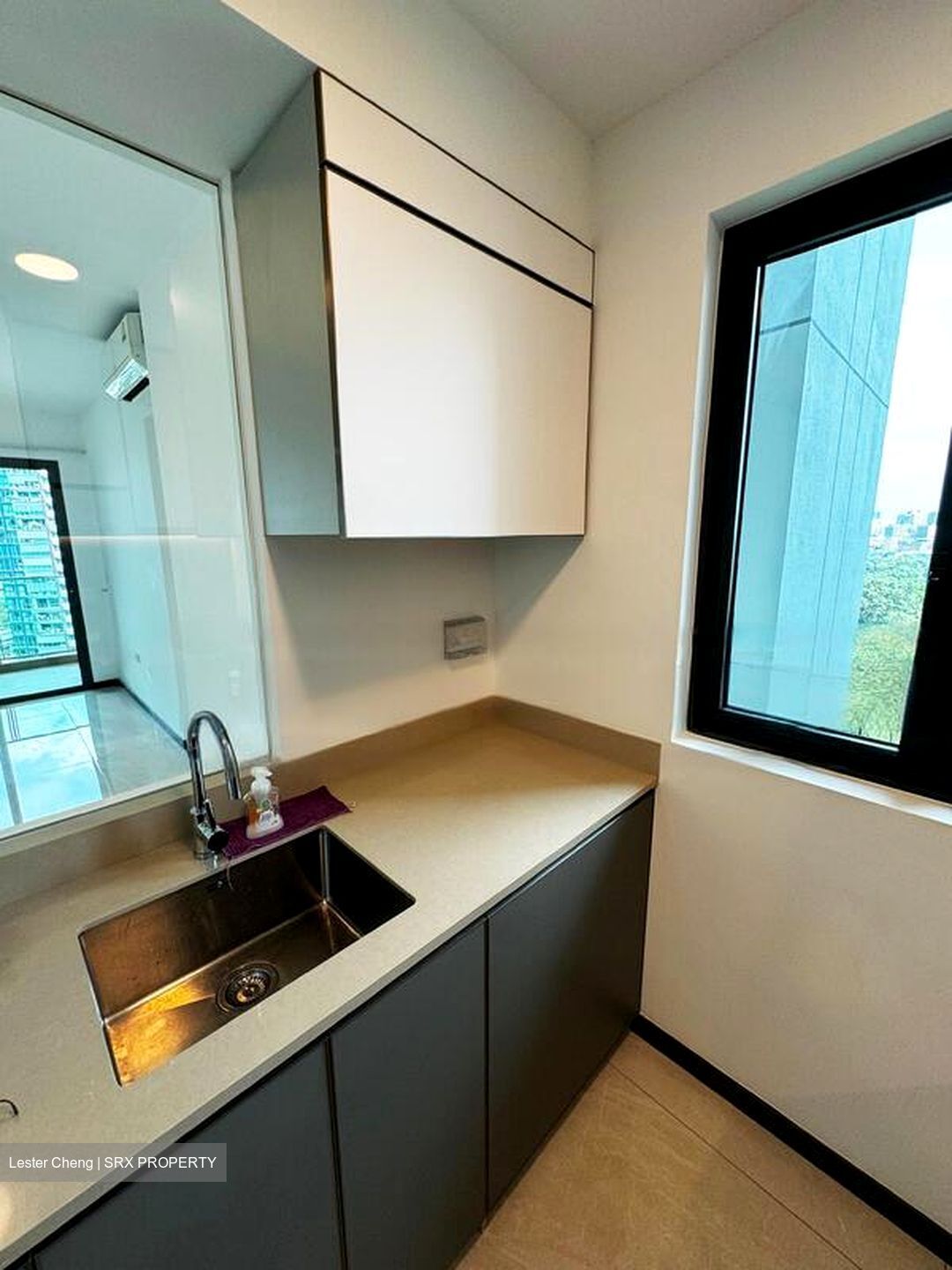 Normanton Park (D5), Apartment #480713361